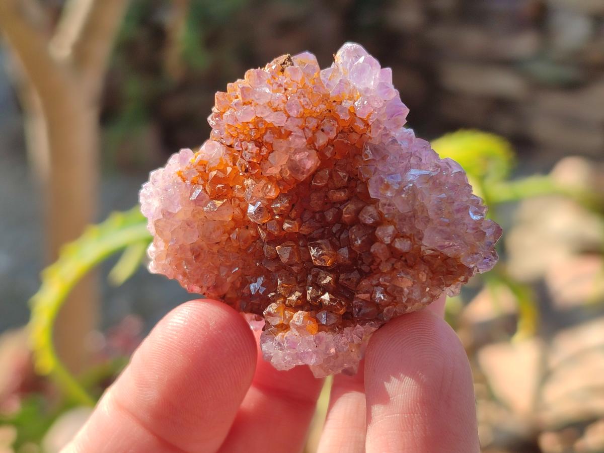Natural Spirit Amethyst Crystals and Clusters x 35 From Boekenhouthoek, South Africa - Toprock Gemstones and Minerals 