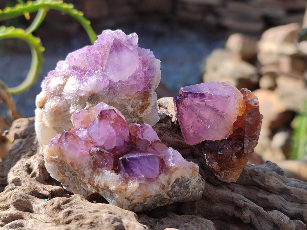 Natural Spirit Amethyst Crystals and Clusters x 35 From Boekenhouthoek, South Africa - Toprock Gemstones and Minerals 