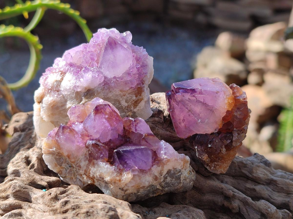 Natural Spirit Amethyst Crystals and Clusters x 35 From Boekenhouthoek, South Africa - Toprock Gemstones and Minerals 
