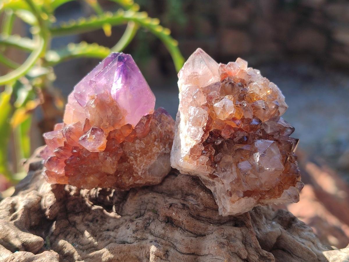 Natural Spirit Amethyst Crystals and Clusters x 35 From Boekenhouthoek, South Africa - Toprock Gemstones and Minerals 