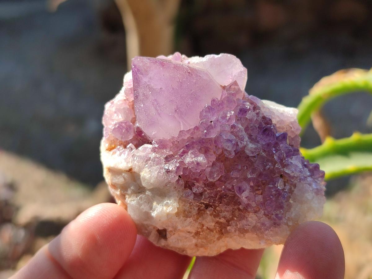 Natural Spirit Amethyst Crystals and Clusters x 35 From Boekenhouthoek, South Africa - Toprock Gemstones and Minerals 