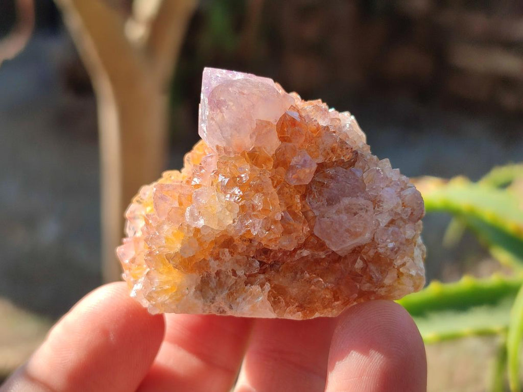 Natural Spirit Amethyst Crystals and Clusters x 35 From Boekenhouthoek, South Africa - Toprock Gemstones and Minerals 