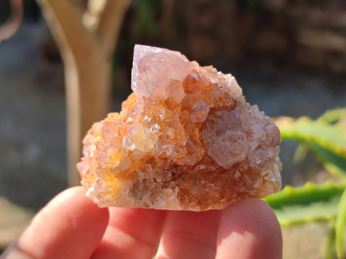 Natural Spirit Amethyst Crystals and Clusters x 35 From Boekenhouthoek, South Africa - Toprock Gemstones and Minerals 
