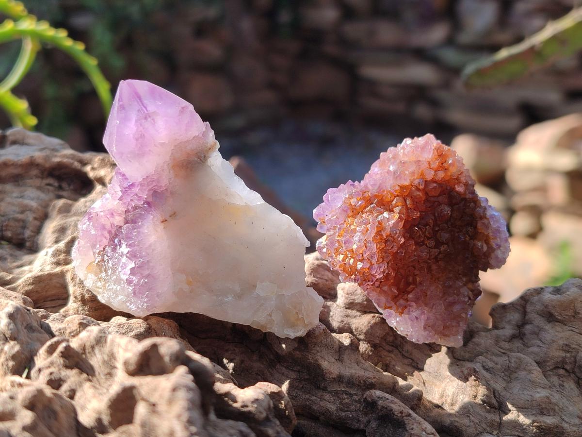 Natural Spirit Amethyst Crystals and Clusters x 35 From Boekenhouthoek, South Africa - Toprock Gemstones and Minerals 