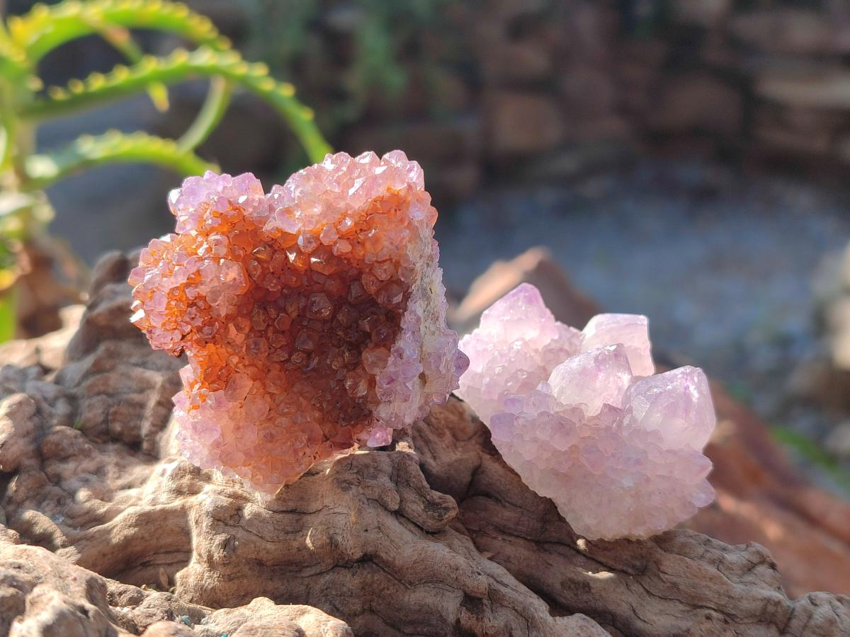 Natural Spirit Amethyst Crystals and Clusters x 35 From Boekenhouthoek, South Africa - Toprock Gemstones and Minerals 
