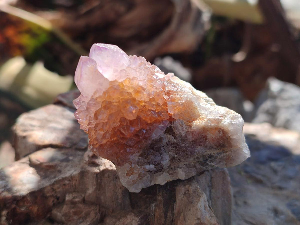 Natural Spirit Amethyst Crystals and Clusters x 35 From Boekenhouthoek, South Africa - Toprock Gemstones and Minerals 