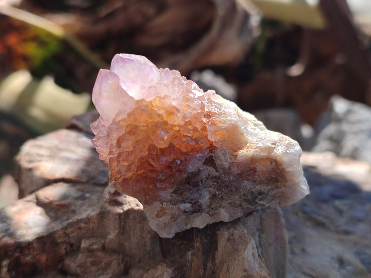 Natural Spirit Amethyst Crystals and Clusters x 35 From Boekenhouthoek, South Africa - Toprock Gemstones and Minerals 