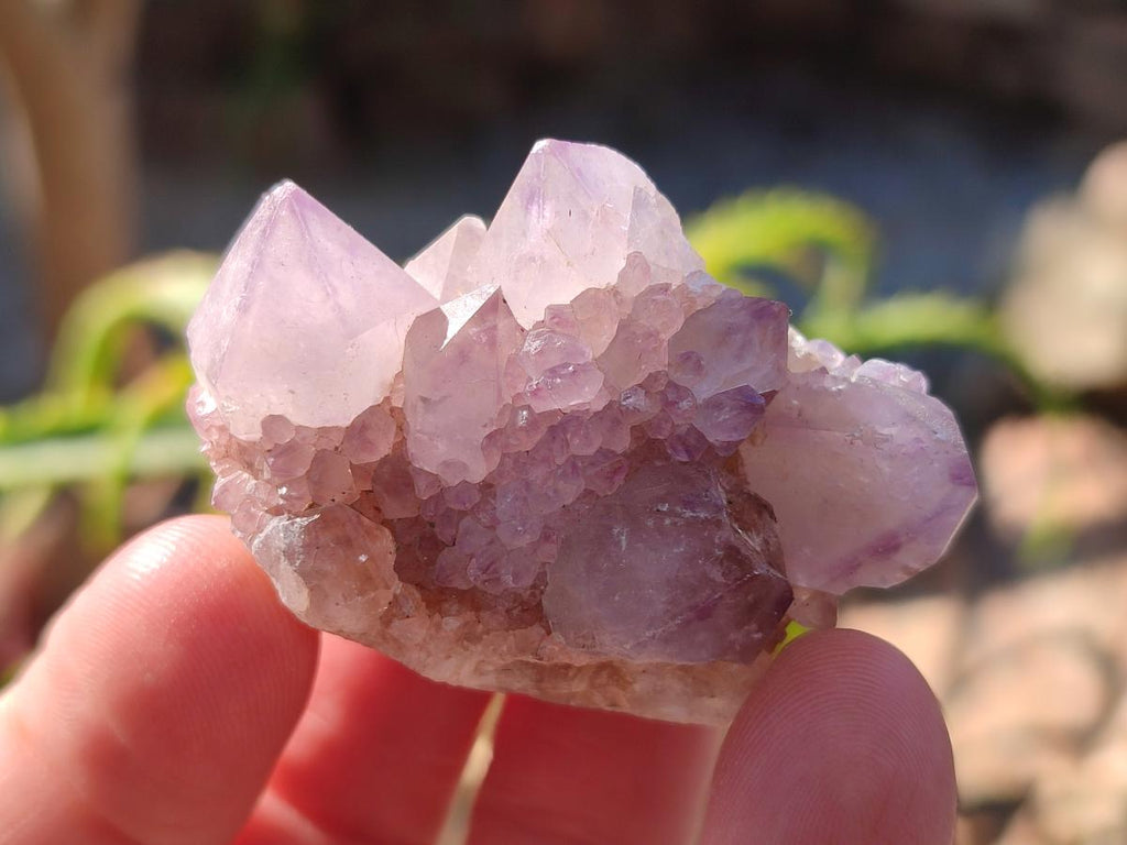 Natural Spirit Amethyst Crystals and Clusters x 35 From Boekenhouthoek, South Africa - Toprock Gemstones and Minerals 