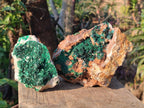 Natural Crystalline Libethenite Specimens on Dolomite Matrix x 2 From Kolwezi, Congo - Toprock Gemstones and Minerals 