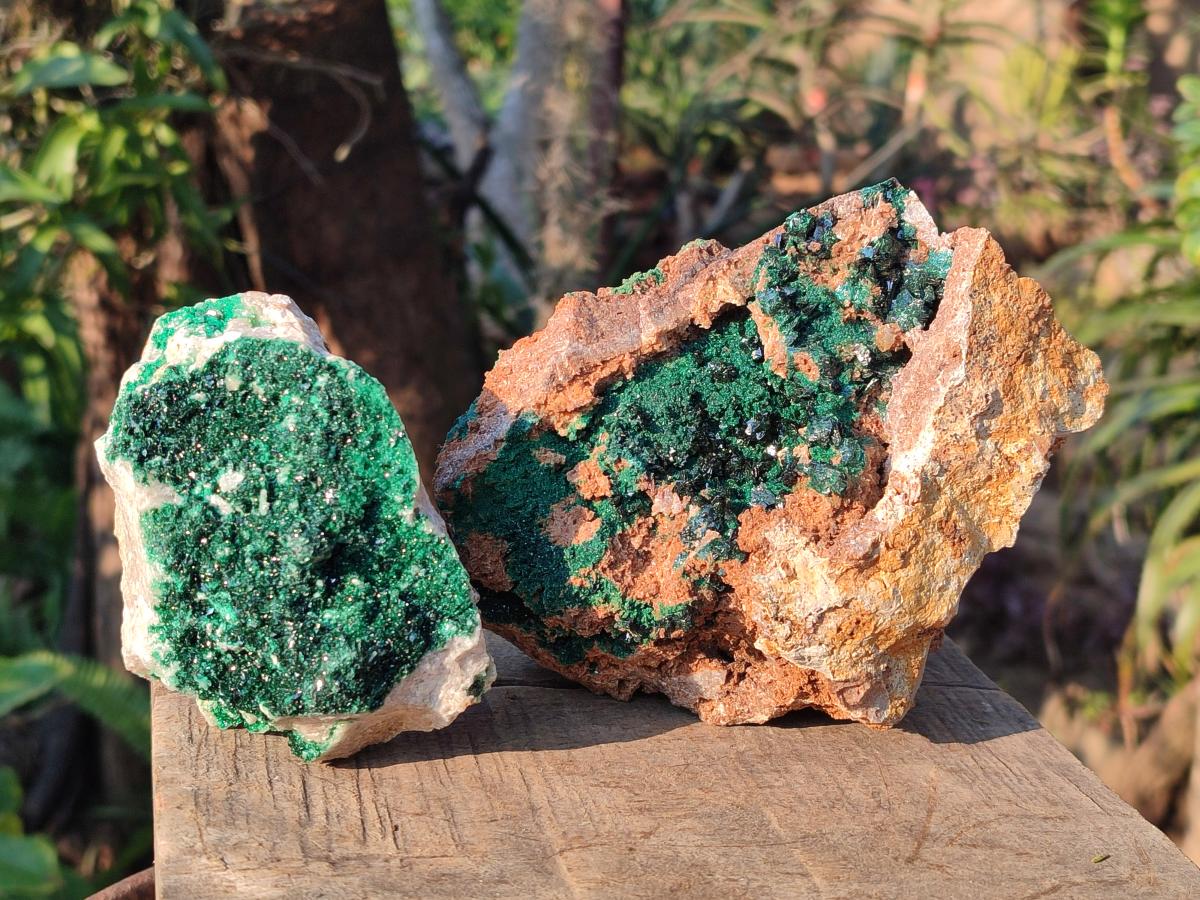 Natural Crystalline Libethenite Specimens on Dolomite Matrix x 2 From Kolwezi, Congo - Toprock Gemstones and Minerals 