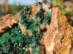 Natural Crystalline Libethenite Specimens on Dolomite Matrix x 2 From Kolwezi, Congo - Toprock Gemstones and Minerals 
