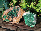 Natural Crystalline Libethenite Specimens on Dolomite Matrix x 2 From Kolwezi, Congo - Toprock Gemstones and Minerals 