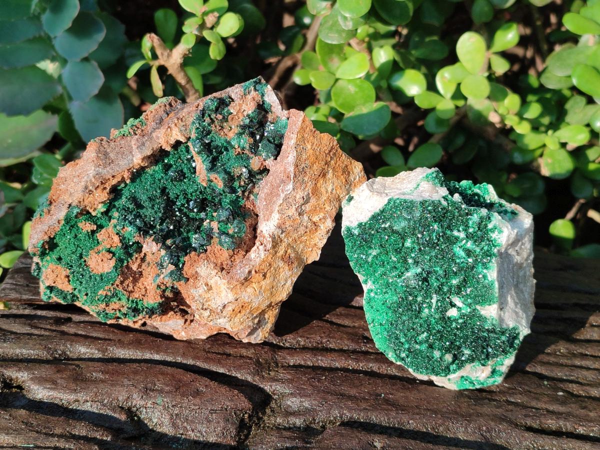 Natural Crystalline Libethenite Specimens on Dolomite Matrix x 2 From Kolwezi, Congo - Toprock Gemstones and Minerals 