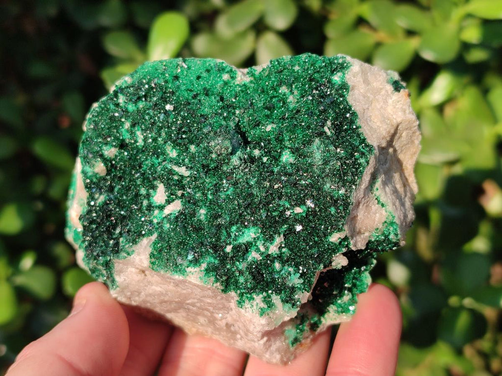 Natural Crystalline Libethenite Specimens on Dolomite Matrix x 2 From Kolwezi, Congo - Toprock Gemstones and Minerals 