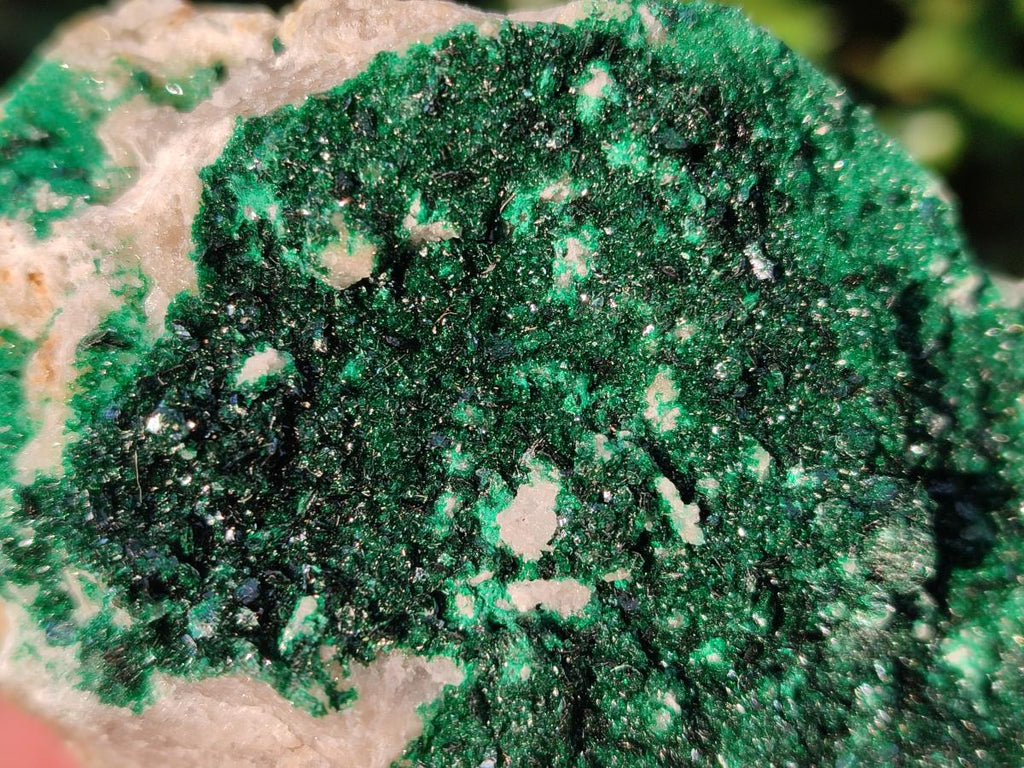 Natural Crystalline Libethenite Specimens on Dolomite Matrix x 2 From Kolwezi, Congo - Toprock Gemstones and Minerals 