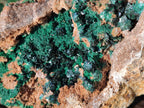 Natural Crystalline Libethenite Specimens on Dolomite Matrix x 2 From Kolwezi, Congo - Toprock Gemstones and Minerals 