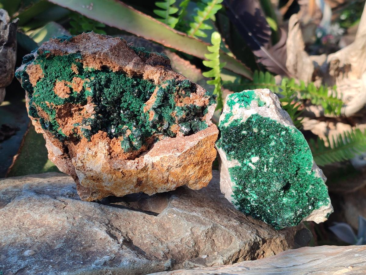 Natural Crystalline Libethenite Specimens on Dolomite Matrix x 2 From Kolwezi, Congo - Toprock Gemstones and Minerals 