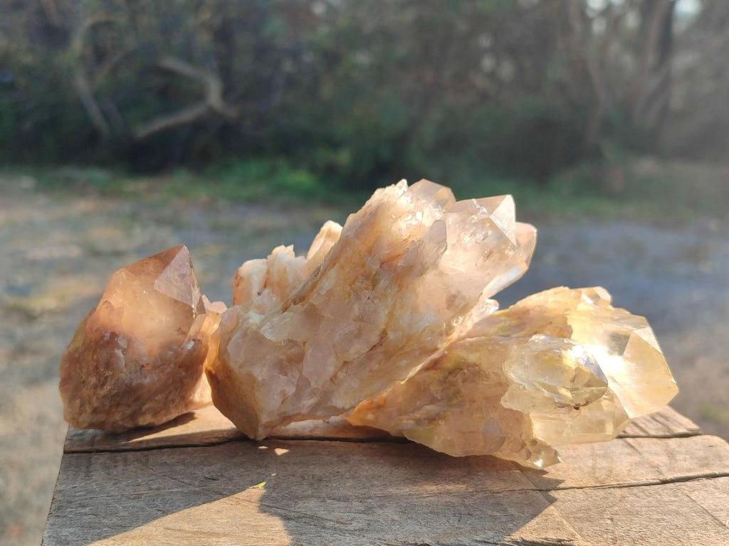 Natural Cascading Clear Champagne Citrine Quartz Crystals and Clusters x 12 From Luena, Congo - Toprock Gemstones and Minerals 