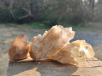 Natural Cascading Clear Champagne Citrine Quartz Crystals and Clusters x 12 From Luena, Congo - Toprock Gemstones and Minerals 