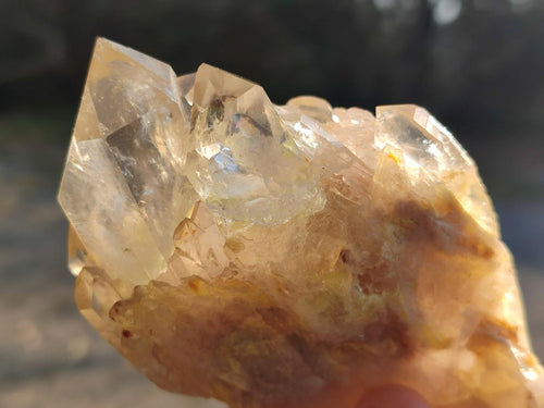 Natural Cascading Clear Champagne Citrine Quartz Crystals and Clusters x 12 From Luena, Congo - Toprock Gemstones and Minerals 
