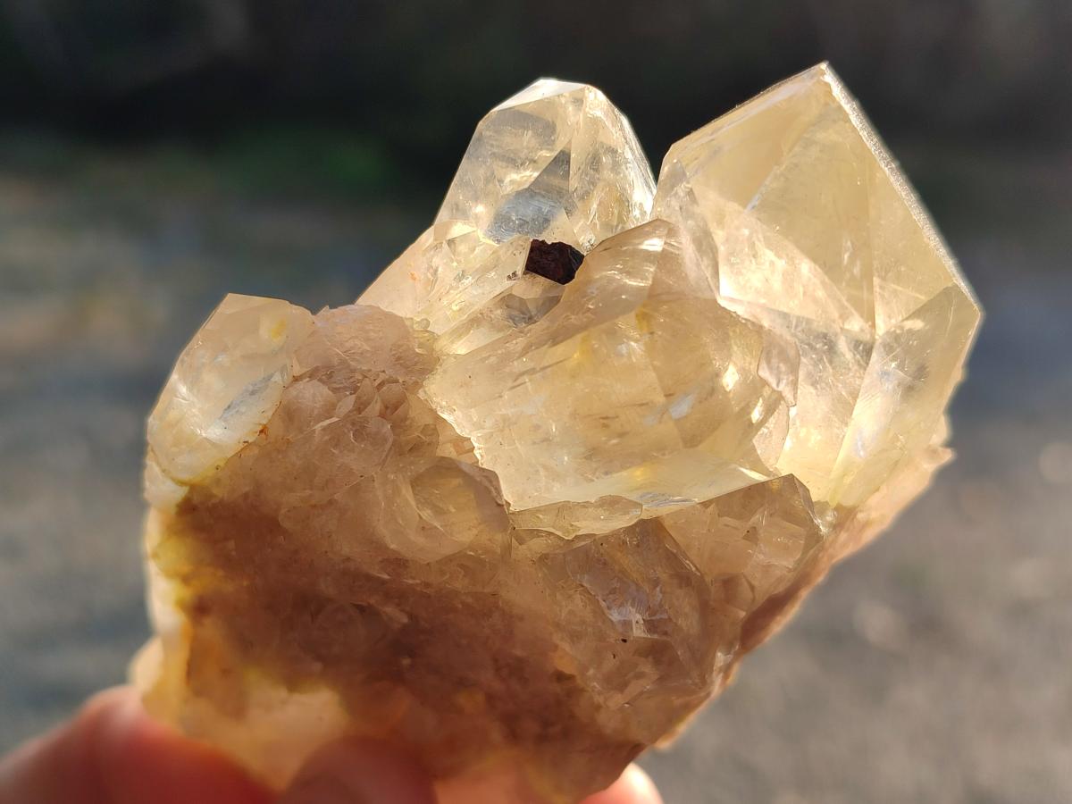 Natural Cascading Clear Champagne Citrine Quartz Crystals and Clusters x 12 From Luena, Congo - Toprock Gemstones and Minerals 