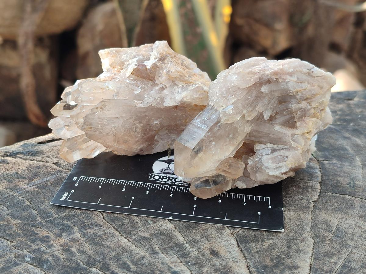 Natural Cascading Clear Champagne Citrine Quartz Crystals and Clusters x 12 From Luena, Congo - Toprock Gemstones and Minerals 