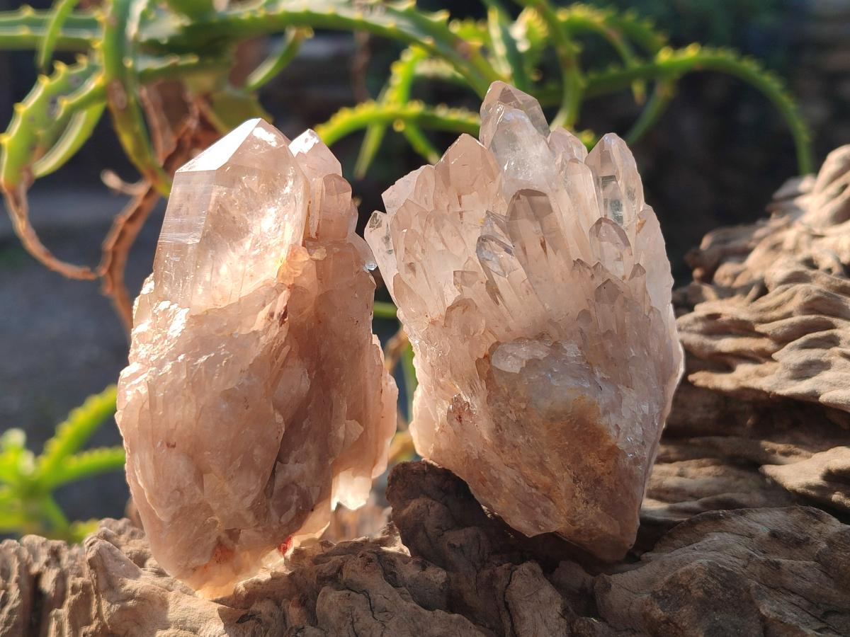 Natural Cascading Clear Champagne Citrine Quartz Crystals and Clusters x 12 From Luena, Congo - Toprock Gemstones and Minerals 