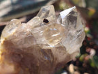 Natural Cascading Clear Champagne Citrine Quartz Crystals and Clusters x 12 From Luena, Congo - Toprock Gemstones and Minerals 