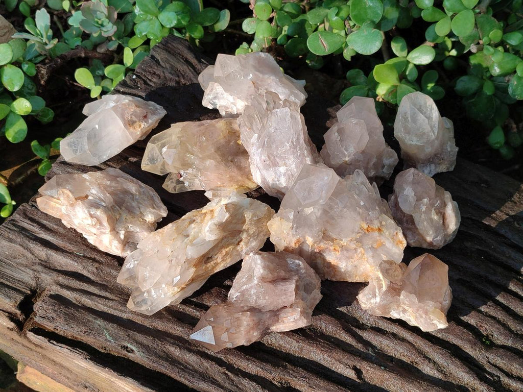 Natural Cascading Clear Champagne Citrine Quartz Crystals and Clusters x 12 From Luena, Congo - Toprock Gemstones and Minerals 