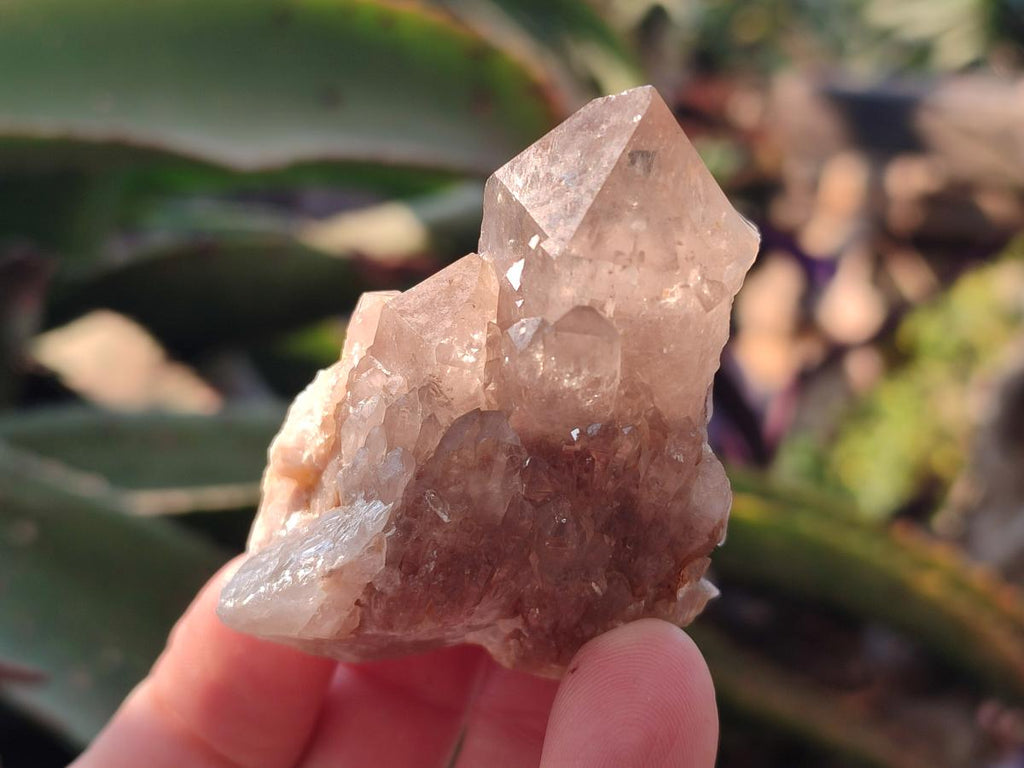 Natural Cascading Clear Champagne Citrine Quartz Crystals and Clusters x 12 From Luena, Congo - Toprock Gemstones and Minerals 