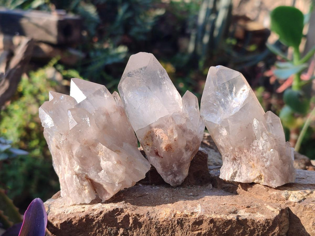 Natural Cascading Clear Champagne Citrine Quartz Crystals and Clusters x 12 From Luena, Congo - Toprock Gemstones and Minerals 