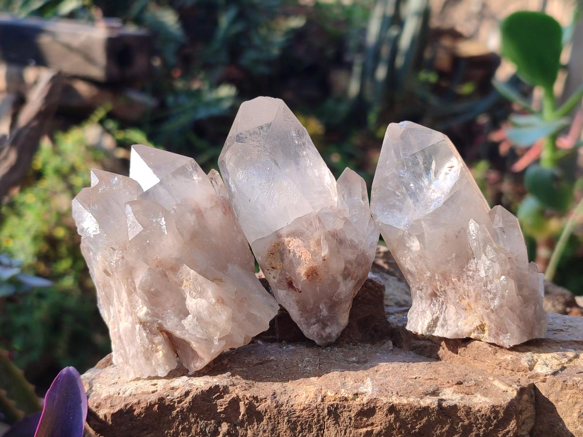 Natural Cascading Clear Champagne Citrine Quartz Crystals and Clusters x 12 From Luena, Congo - Toprock Gemstones and Minerals 