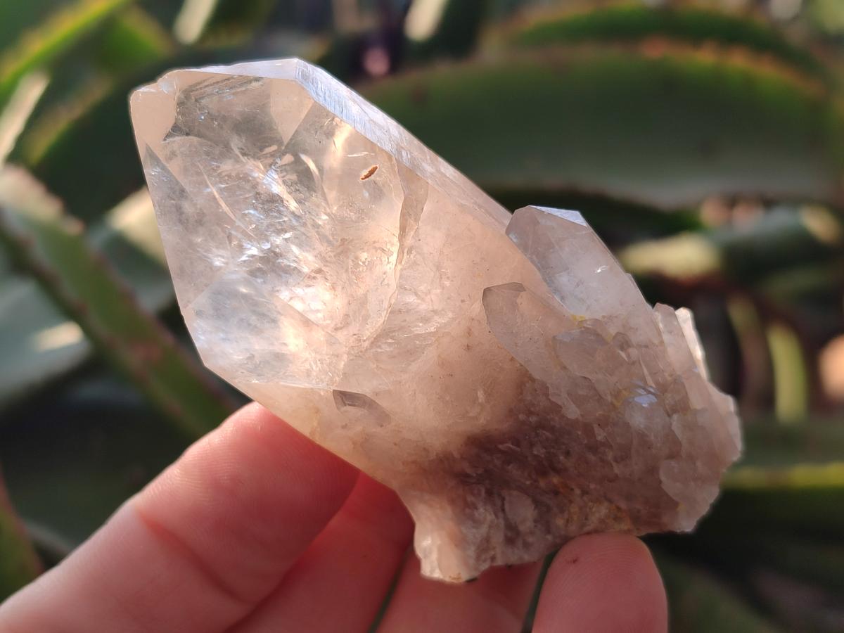 Natural Cascading Clear Champagne Citrine Quartz Crystals and Clusters x 12 From Luena, Congo - Toprock Gemstones and Minerals 