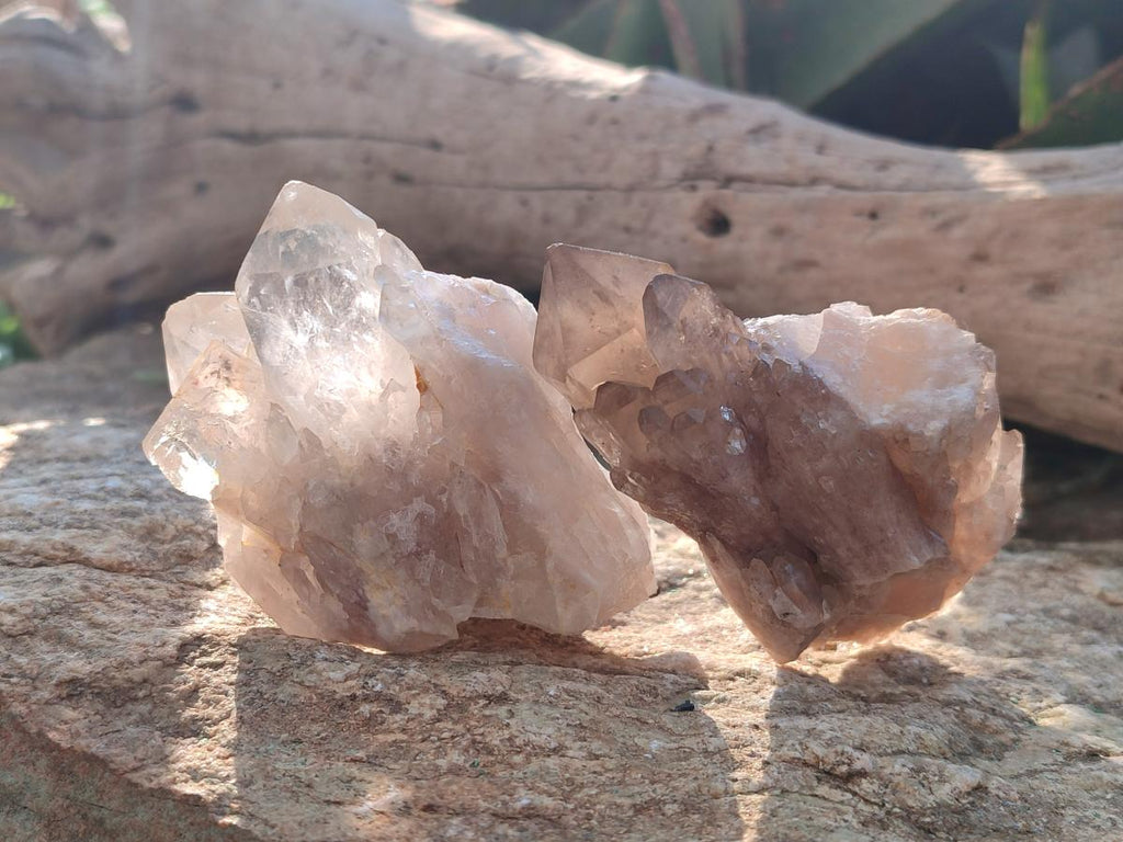 Natural Cascading Clear Champagne Citrine Quartz Crystals and Clusters x 12 From Luena, Congo - Toprock Gemstones and Minerals 