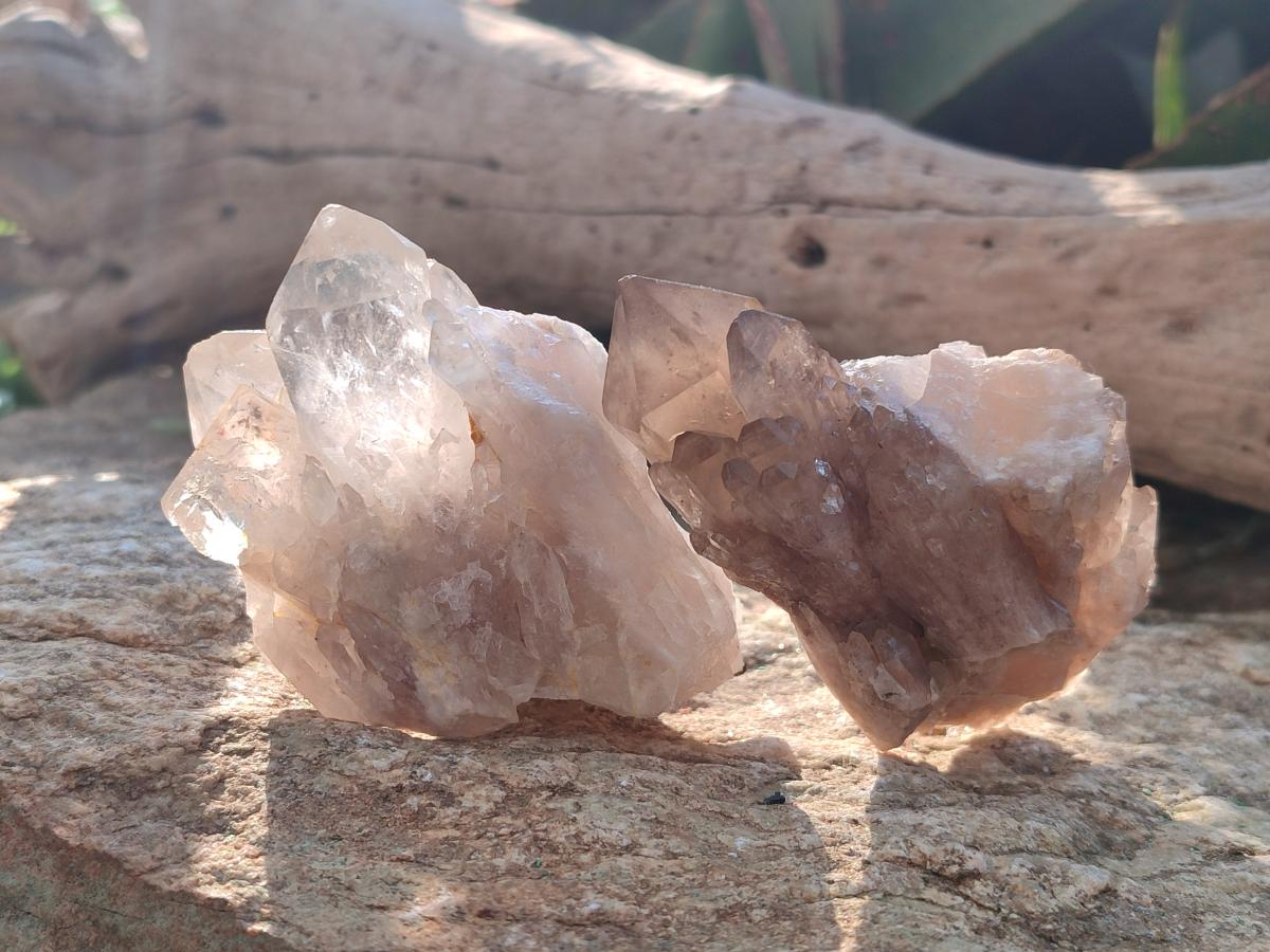 Natural Cascading Clear Champagne Citrine Quartz Crystals and Clusters x 12 From Luena, Congo - Toprock Gemstones and Minerals 