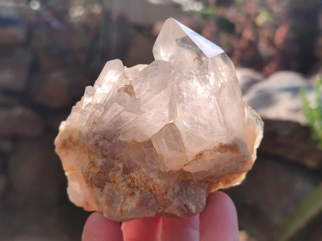 Natural Cascading Clear Champagne Citrine Quartz Crystals and Clusters x 12 From Luena, Congo - Toprock Gemstones and Minerals 