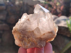Natural Cascading Clear Champagne Citrine Quartz Crystals and Clusters x 12 From Luena, Congo - Toprock Gemstones and Minerals 