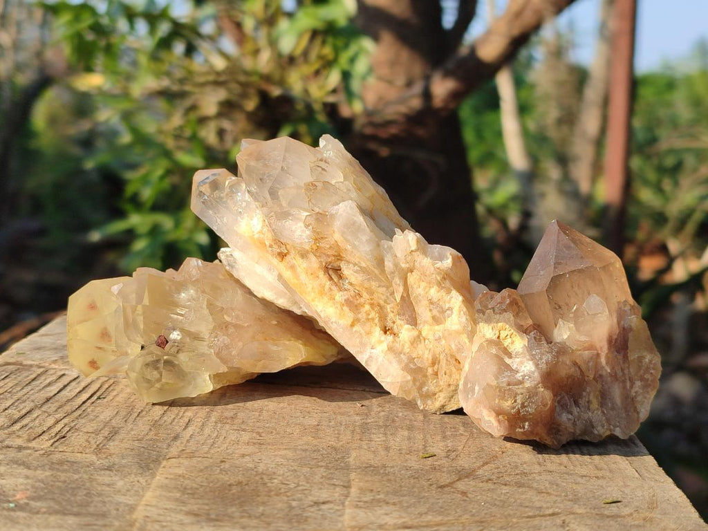 Natural Cascading Clear Champagne Citrine Quartz Crystals and Clusters x 12 From Luena, Congo - Toprock Gemstones and Minerals 