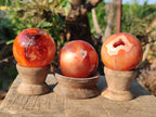 Polished and Natural Small Carnelian Agate Gemstone Spheres x 12 From Madagascar - Toprock Gemstones and Minerals 