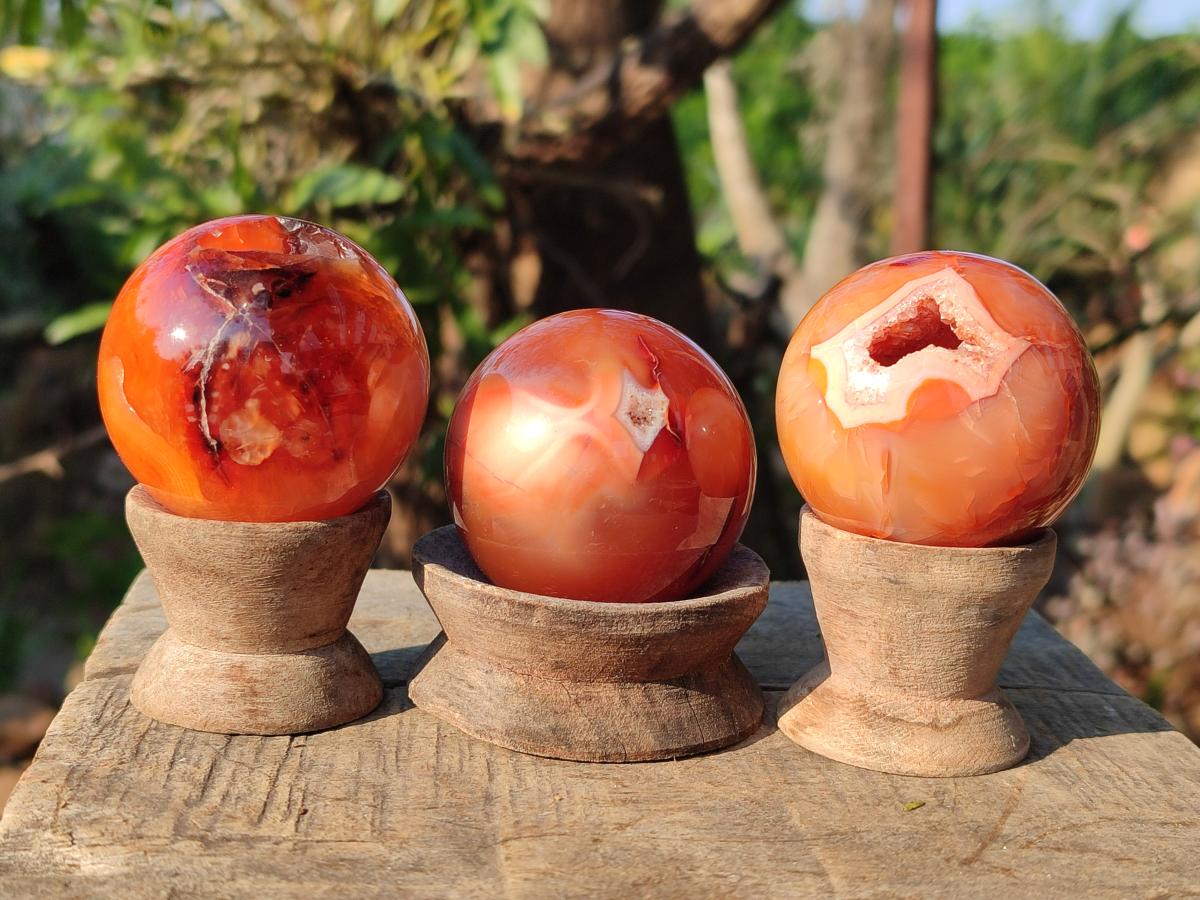 Polished and Natural Small Carnelian Agate Gemstone Spheres x 12 From Madagascar - Toprock Gemstones and Minerals 