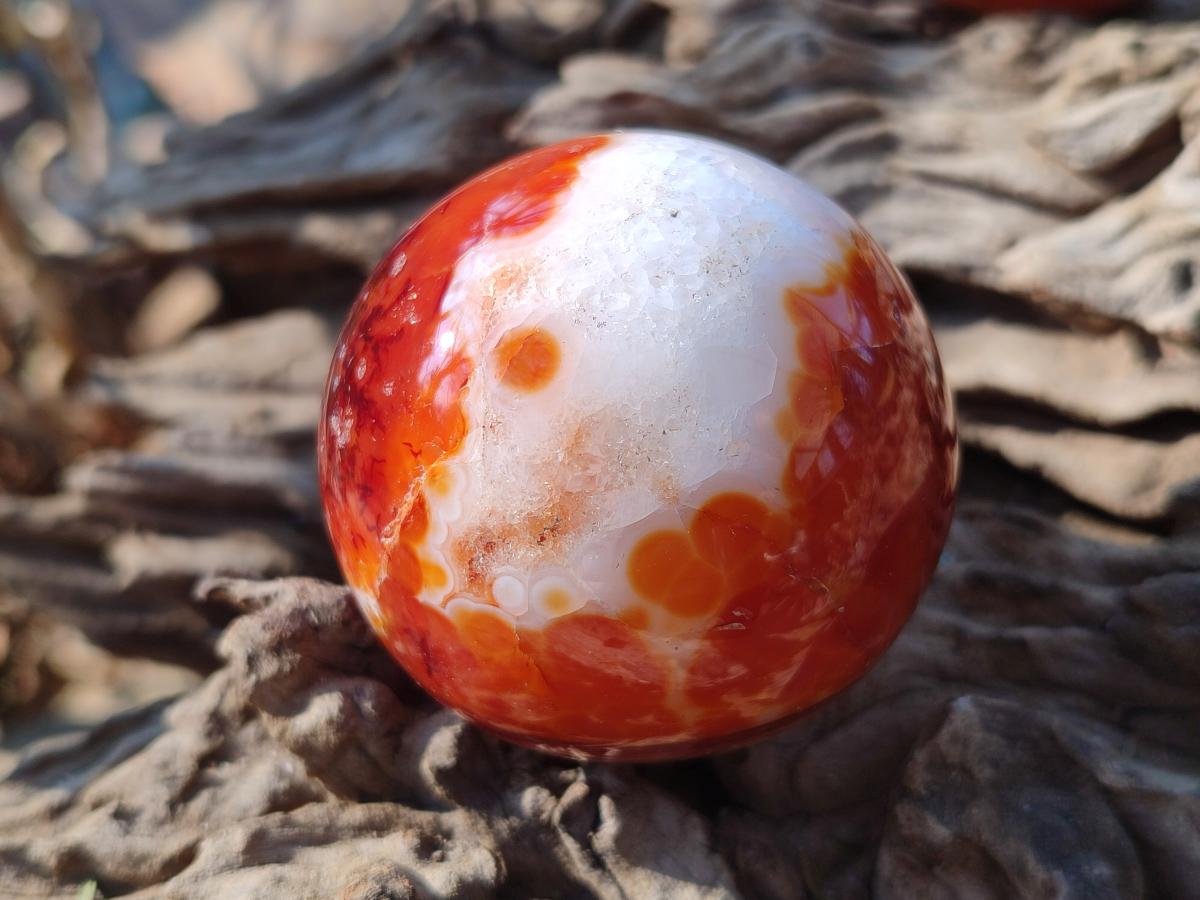 Polished and Natural Small Carnelian Agate Gemstone Spheres x 12 From Madagascar - Toprock Gemstones and Minerals 