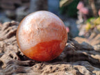 Polished and Natural Small Carnelian Agate Gemstone Spheres x 12 From Madagascar - Toprock Gemstones and Minerals 