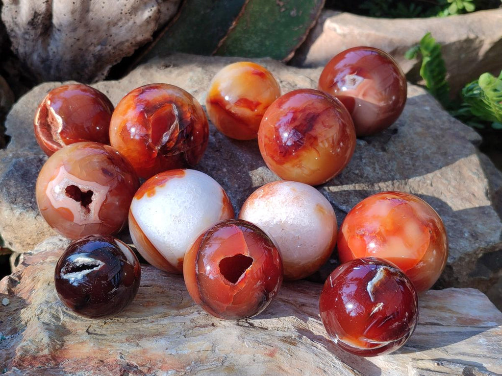 Polished and Natural Small Carnelian Agate Gemstone Spheres x 12 From Madagascar - Toprock Gemstones and Minerals 