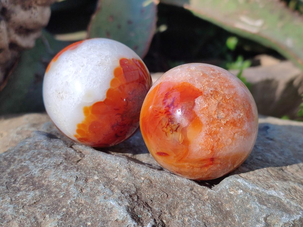 Polished and Natural Small Carnelian Agate Gemstone Spheres x 12 From Madagascar - Toprock Gemstones and Minerals 
