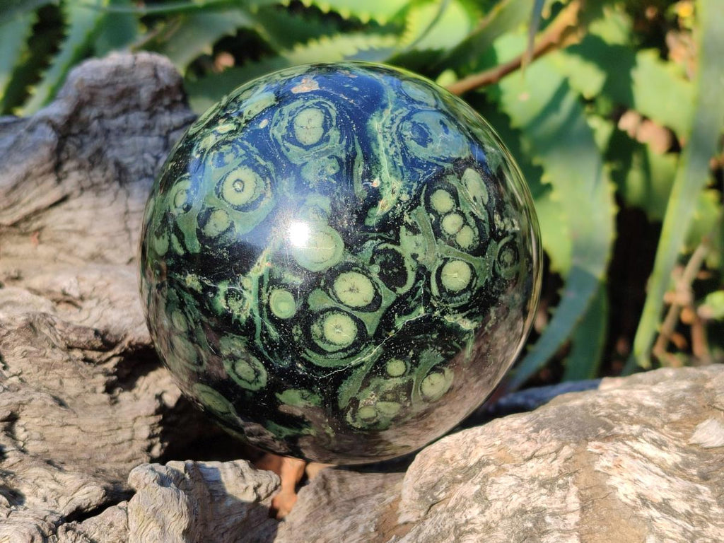 Polished Stromatolite "Kambamba Jasper" Spheres x 2 From Katsepy, Madagascar - Toprock Gemstones and Minerals 