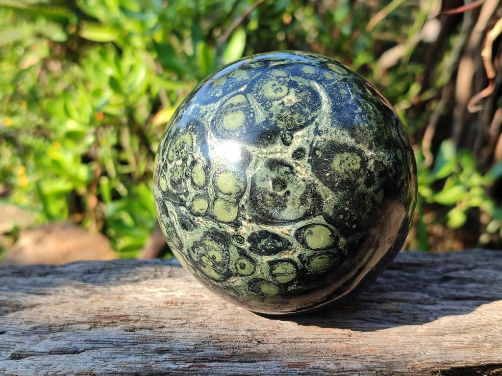 Polished Stromatolite "Kambamba Jasper" Spheres x 2 From Katsepy, Madagascar - Toprock Gemstones and Minerals 