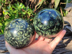 Polished Stromatolite "Kambamba Jasper" Spheres x 2 From Katsepy, Madagascar - Toprock Gemstones and Minerals 