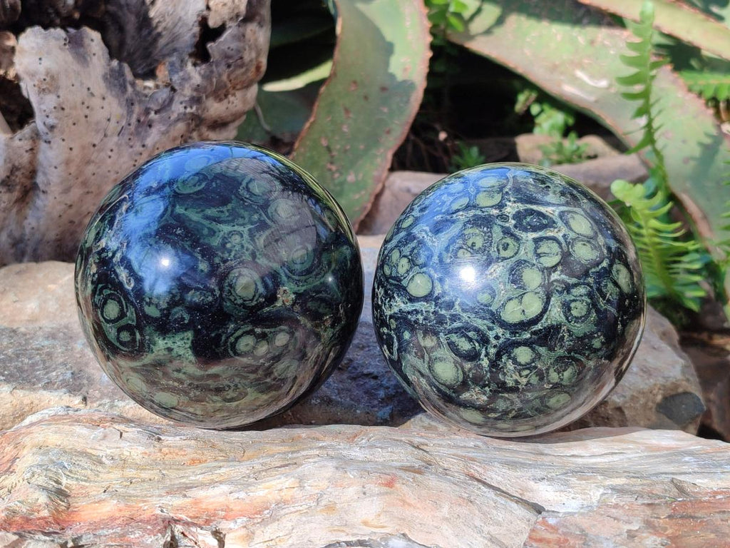 Polished Stromatolite "Kambamba Jasper" Spheres x 2 From Katsepy, Madagascar - Toprock Gemstones and Minerals 