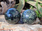 Polished Stromatolite "Kambamba Jasper" Spheres x 2 From Katsepy, Madagascar - Toprock Gemstones and Minerals 