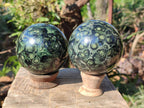 Polished Stromatolite "Kambamba Jasper" Spheres x 2 From Katsepy, Madagascar - Toprock Gemstones and Minerals 